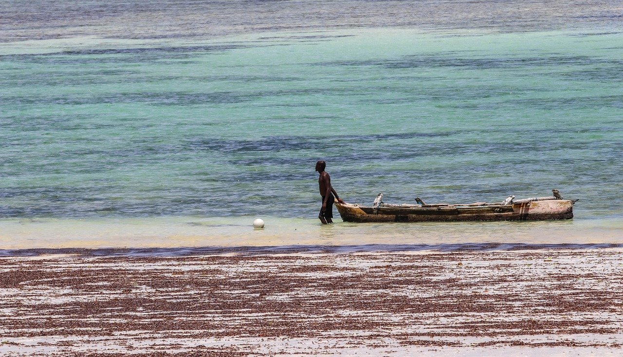 africa, kenya, nature, diani beach, boat, sea, fisherman, beach