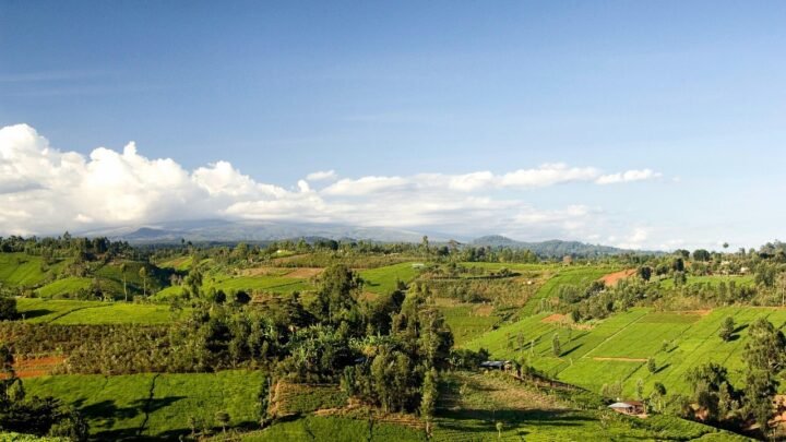 Navigating Adult Dating in Gilgil: Balancing Fun, Respect, and Privacy