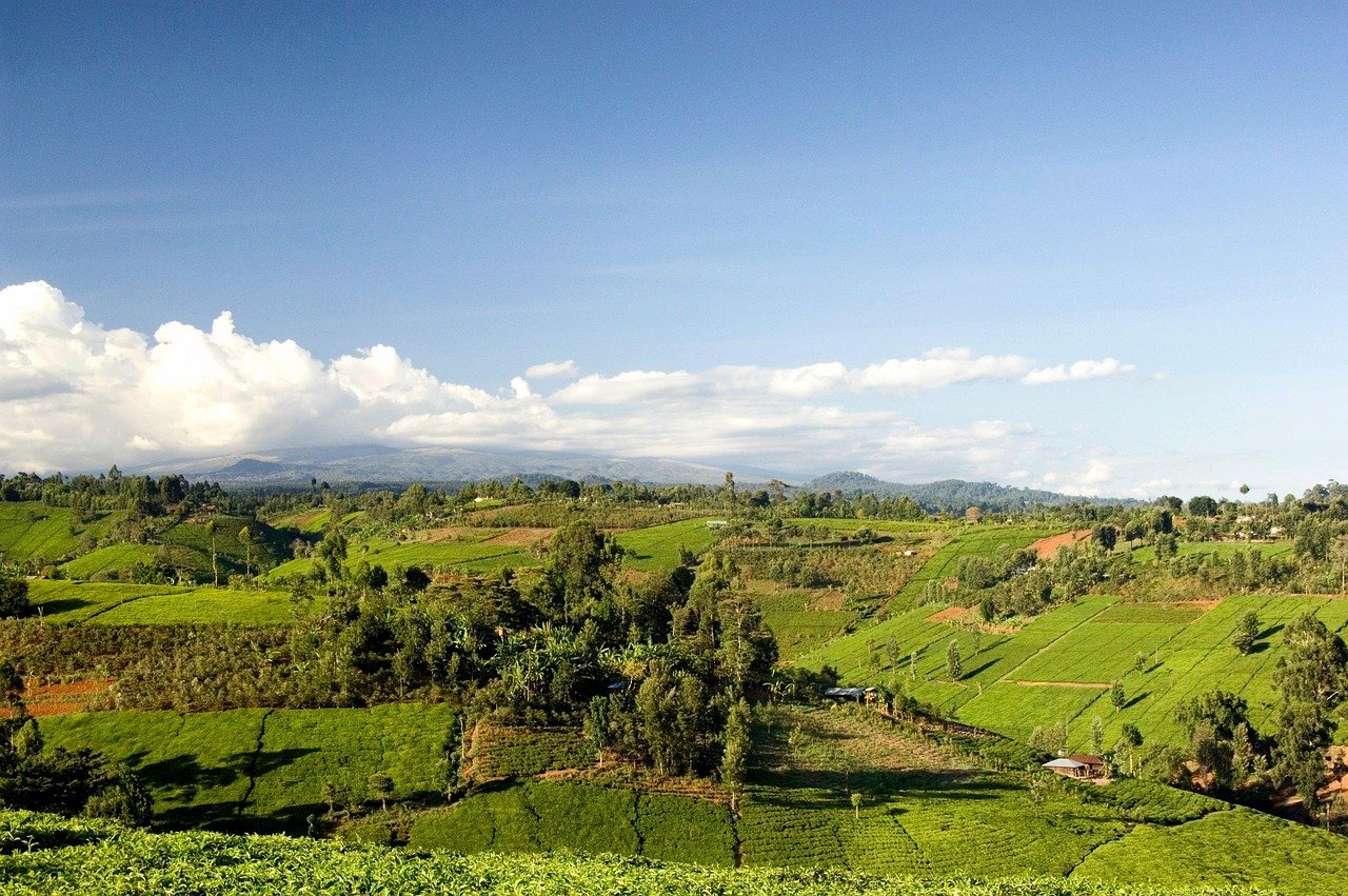 kenya, landscape scenic, mountains, valley, forest, trees, woods, fields, grass, crops, nature, outside, country, countryside