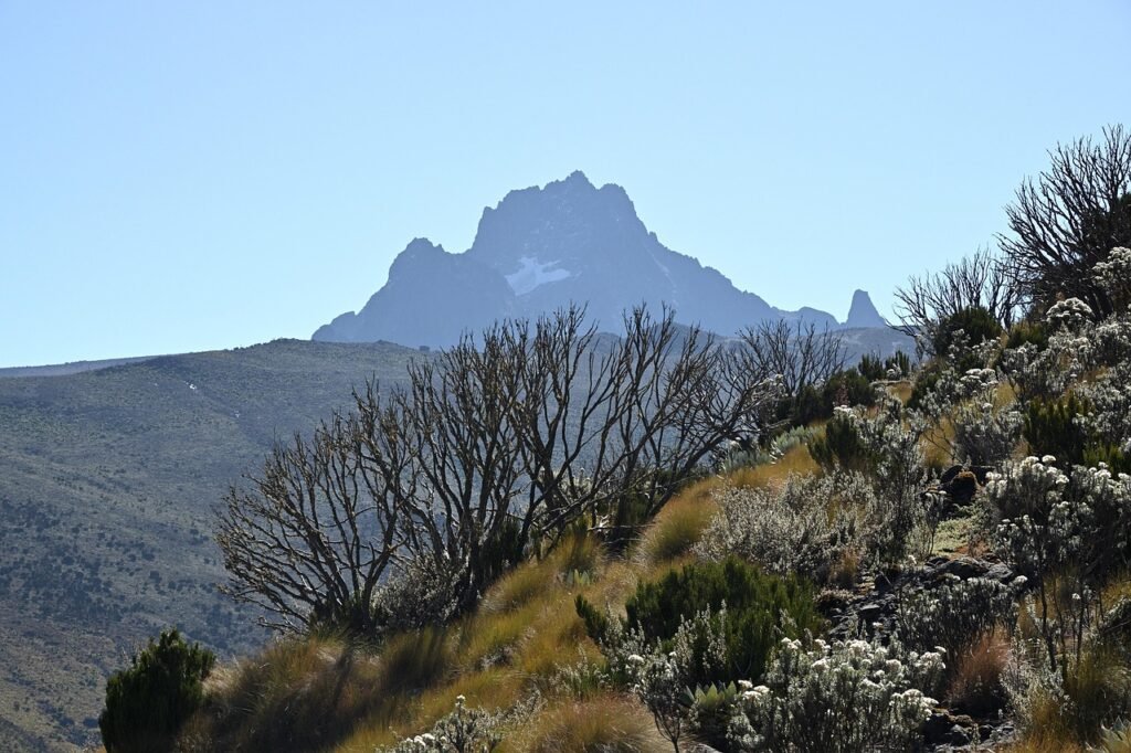 mount kenya, mountain, peak, landscape, flora, kenya, africa, nature, sky, wilderness, outdoors, rocks, grass, mount kenya, m