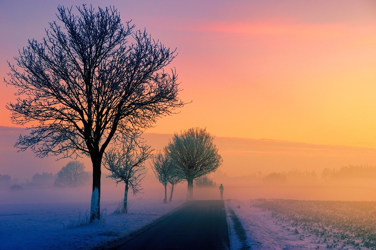 winter, fog, dawn, sunset, nature, landscape, jogger, road, path, tree, dusk, idyllic, eve, mood, evening atmosphere, heaven,
