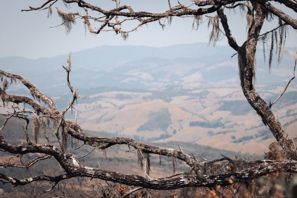 Serene countryside view through leafless branches, showing hills and fields in a soft autumn light.