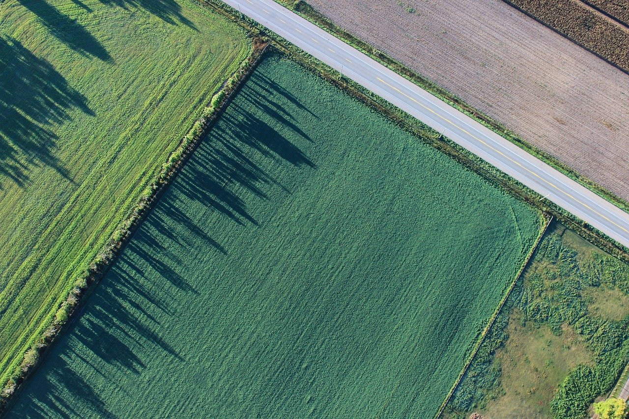 agriculture, cropland, aerial view, green, greenery, vegetation, farmland, bird's eye view, drone photography, farm, highway,
