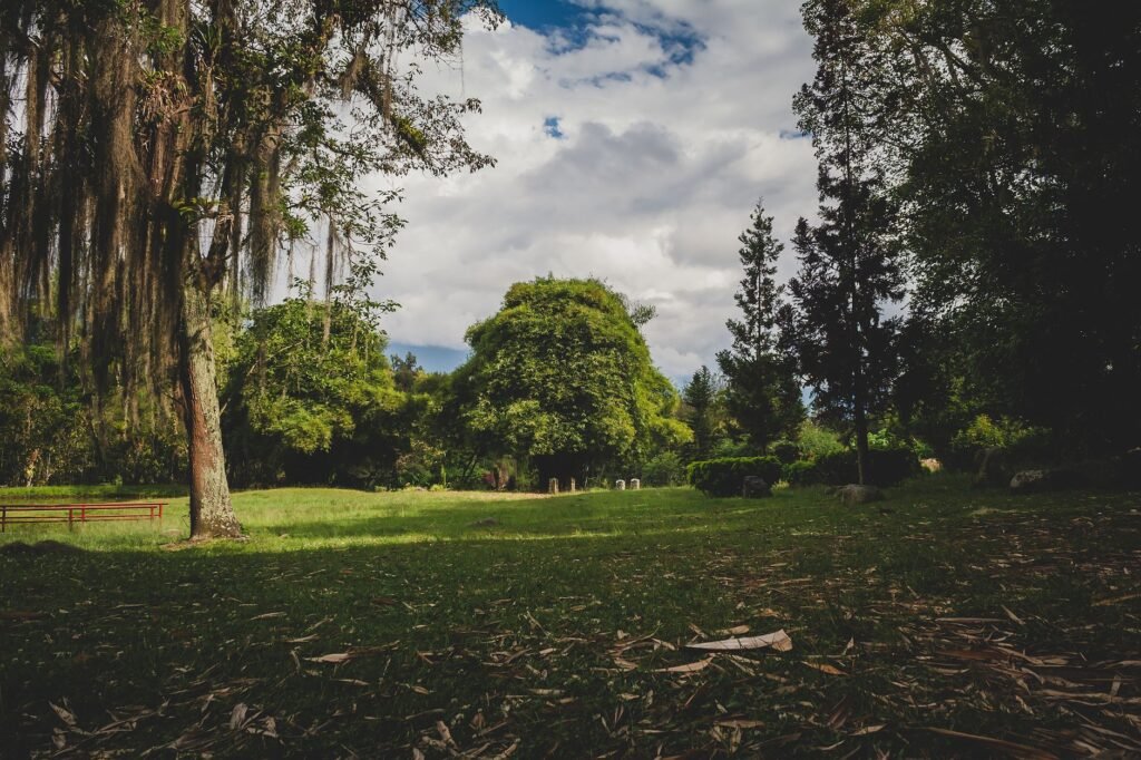 Scenic view of a tranquil park in Mérida, Venezuela, with lush trees and a grassy landscape.