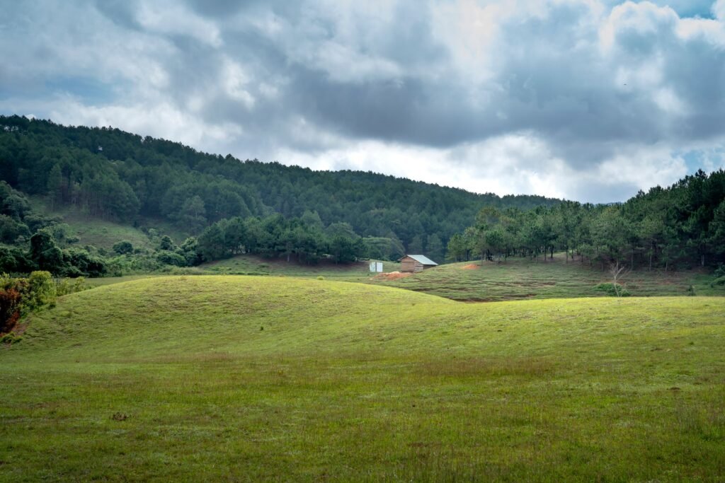 Picturesque scenery of green field and lonely hut located among hills covered with forests against cloudy sky on overcast wea