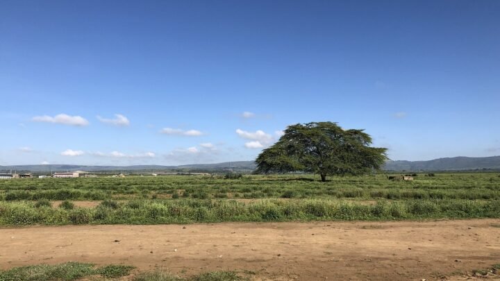 Finding Natural Chemistry: What Makes Dating Feel Comfortable in Machakos