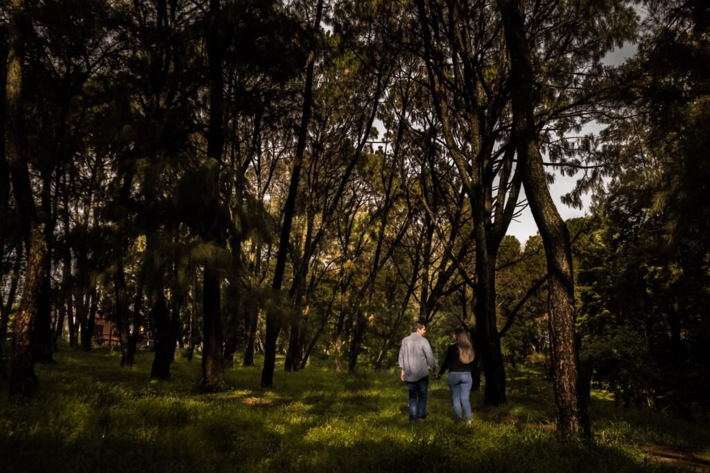 A couple holding hands walking through a sunlit forest area, surrounded by tall trees.