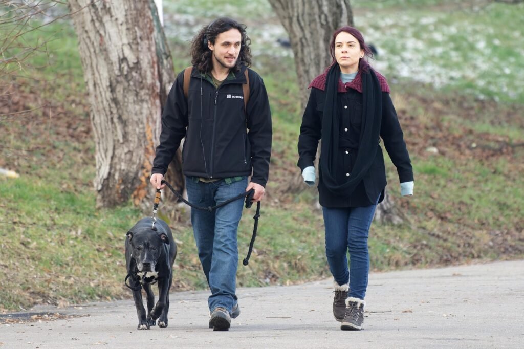 couple, animal, friendship, happy, dog, pet, leash, walking, together, park, leisure