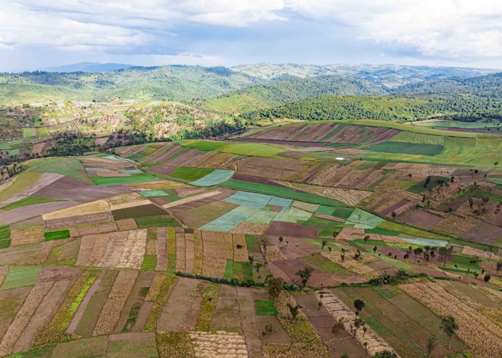 Vibrant aerial landscape of patchwork farmlands in Mau Narok, Kenya, showcasing diverse agricultural patterns.
