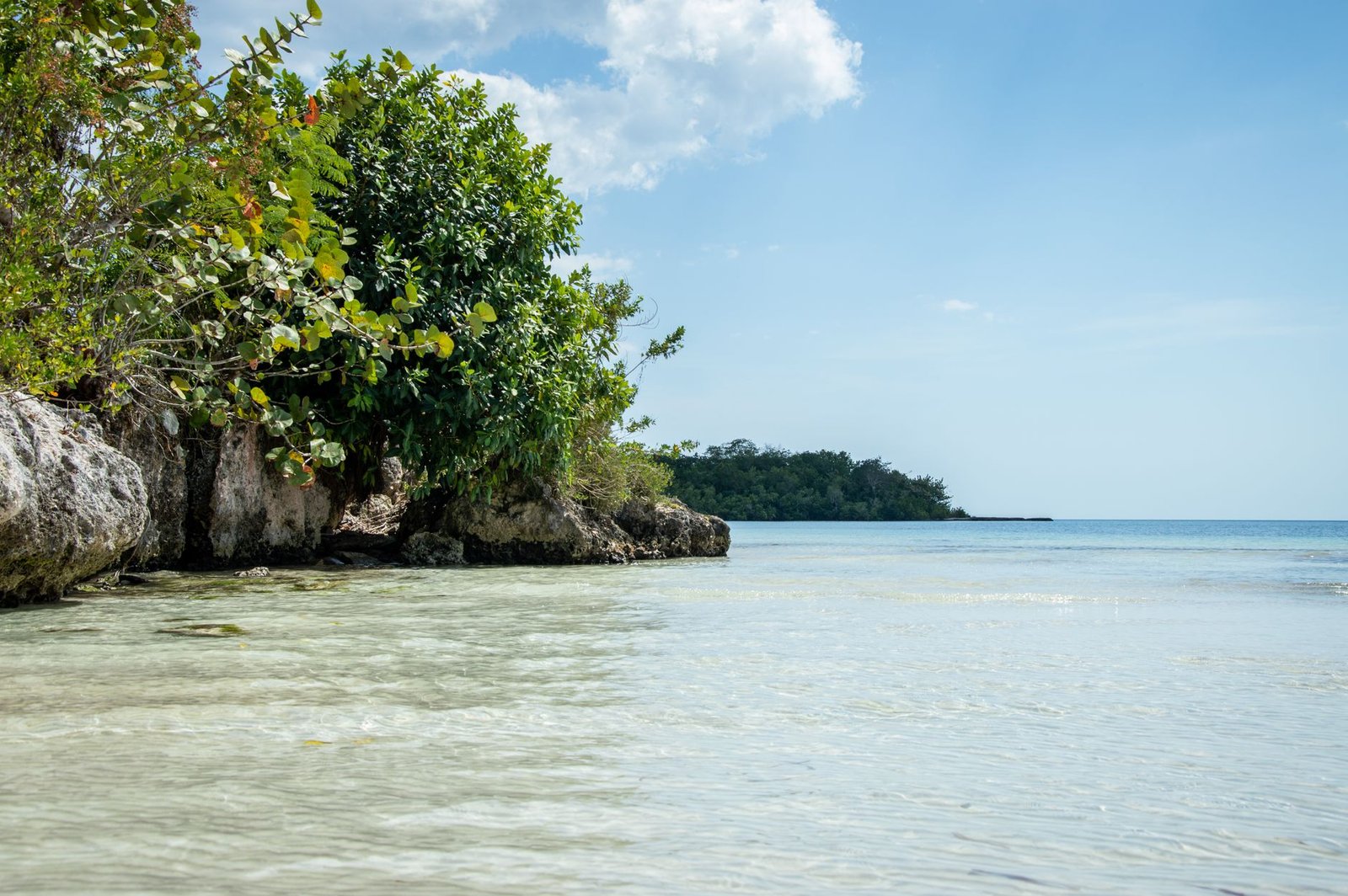 Scenic view of a lush tropical coastline with crystal-clear sea under a bright blue sky.