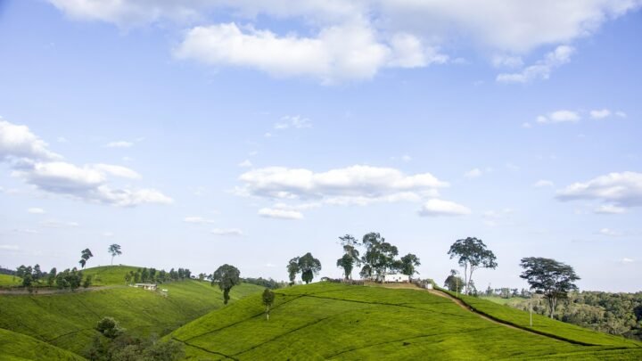 Courtship in Njoro: Traditions, Modern Shifts, and Neighboring Influences