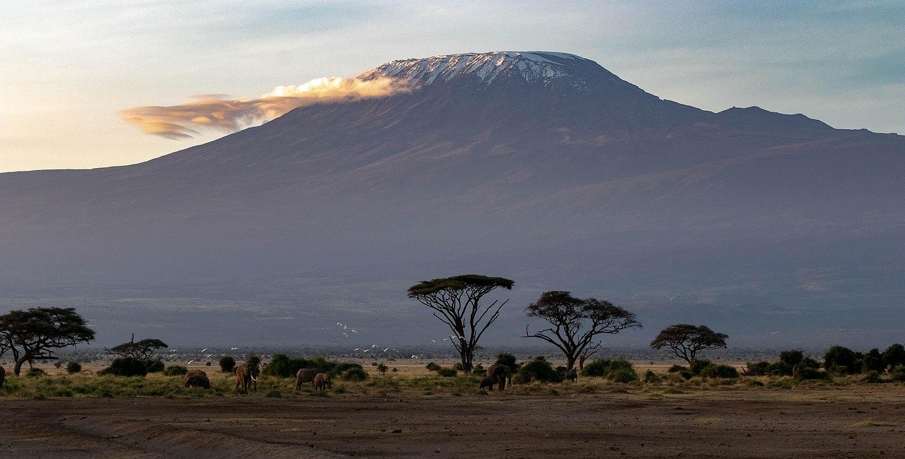 africa, kenya, amboseli national park, safari, wilderness, landscape, national park, kilimanjaro, nature, savannah, wildlife,