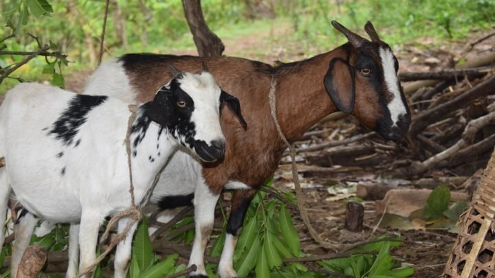 Why Dating in Kasarani Feels More Natural When You Let Go of the Script