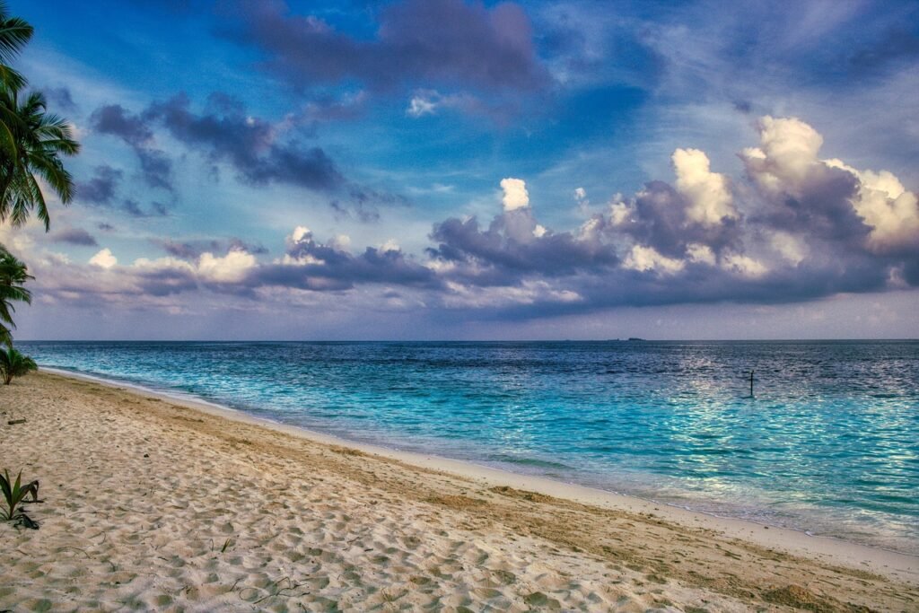 beach, coast, sea, sand, horizon, ocean, bay, water, palm, seashore, coastline, seascape, island, scenery, paradise, tropical
