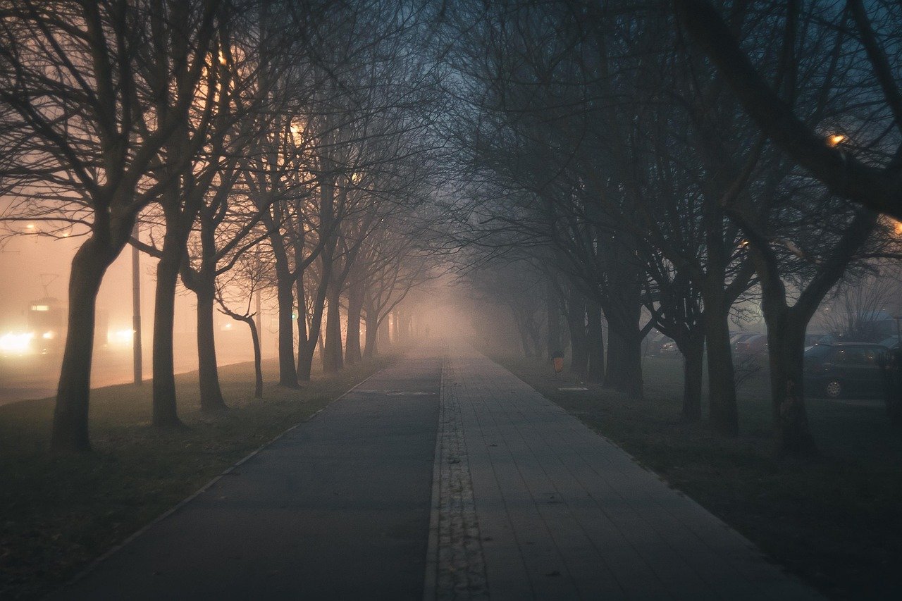 city, walkway, trees, sidewalk, avenue, nature, street, fog, haze, pavement, cycling road, landscape, park, lights, evening,