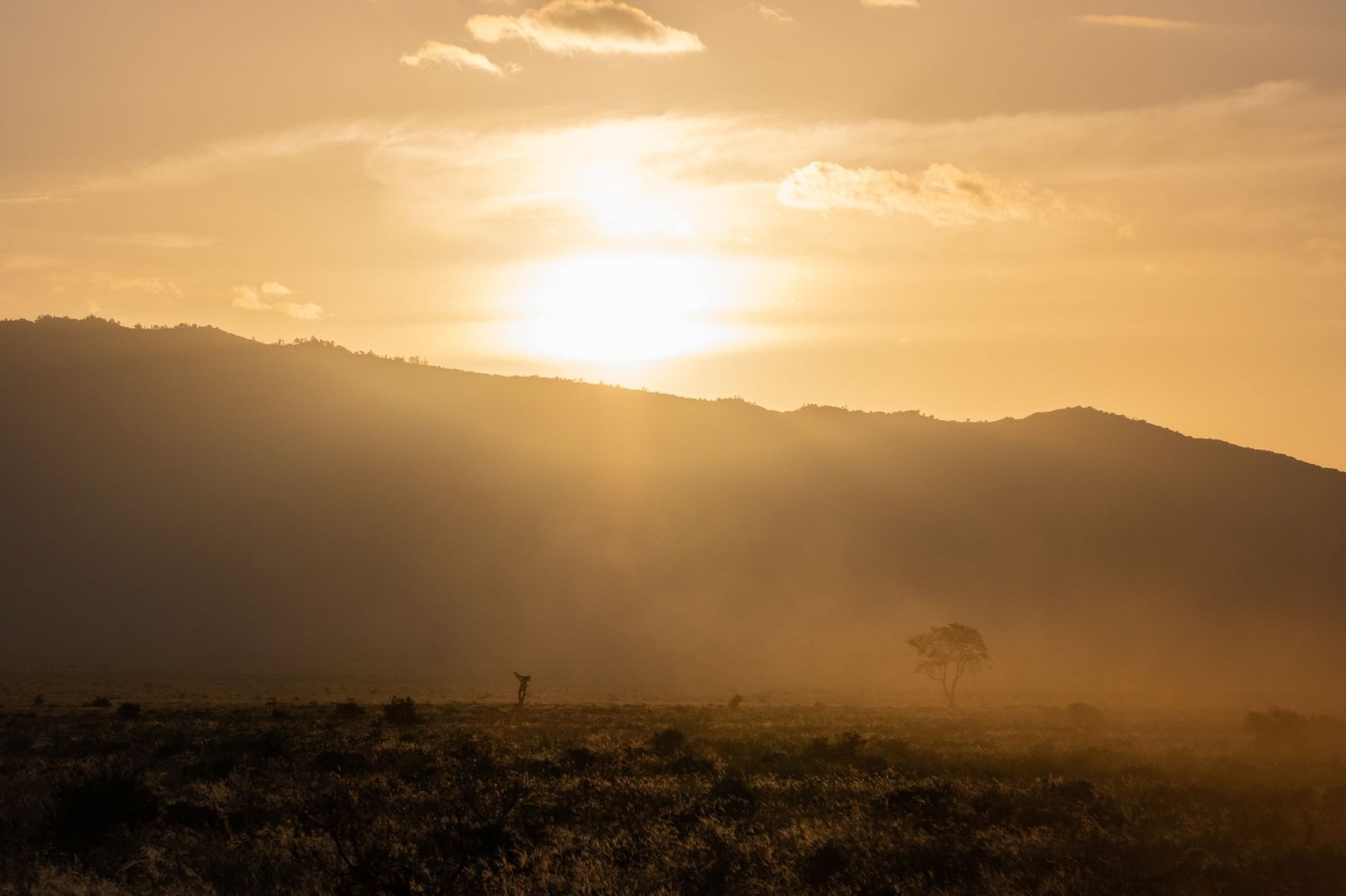 Evening roadside scene in Athi River, Machakos County, Kenya