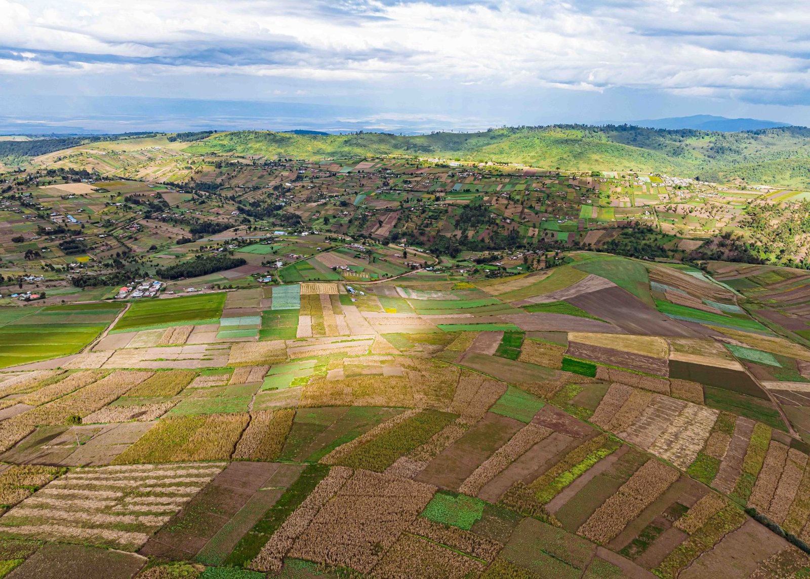 Highland road and tea fields in Konoin, Bomet County, Kenya