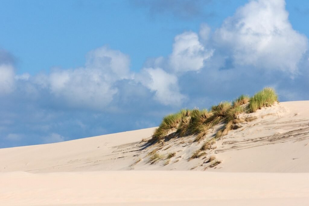dunes, sand dunes, nature, poland, sand, beach, coast, landscape, grass