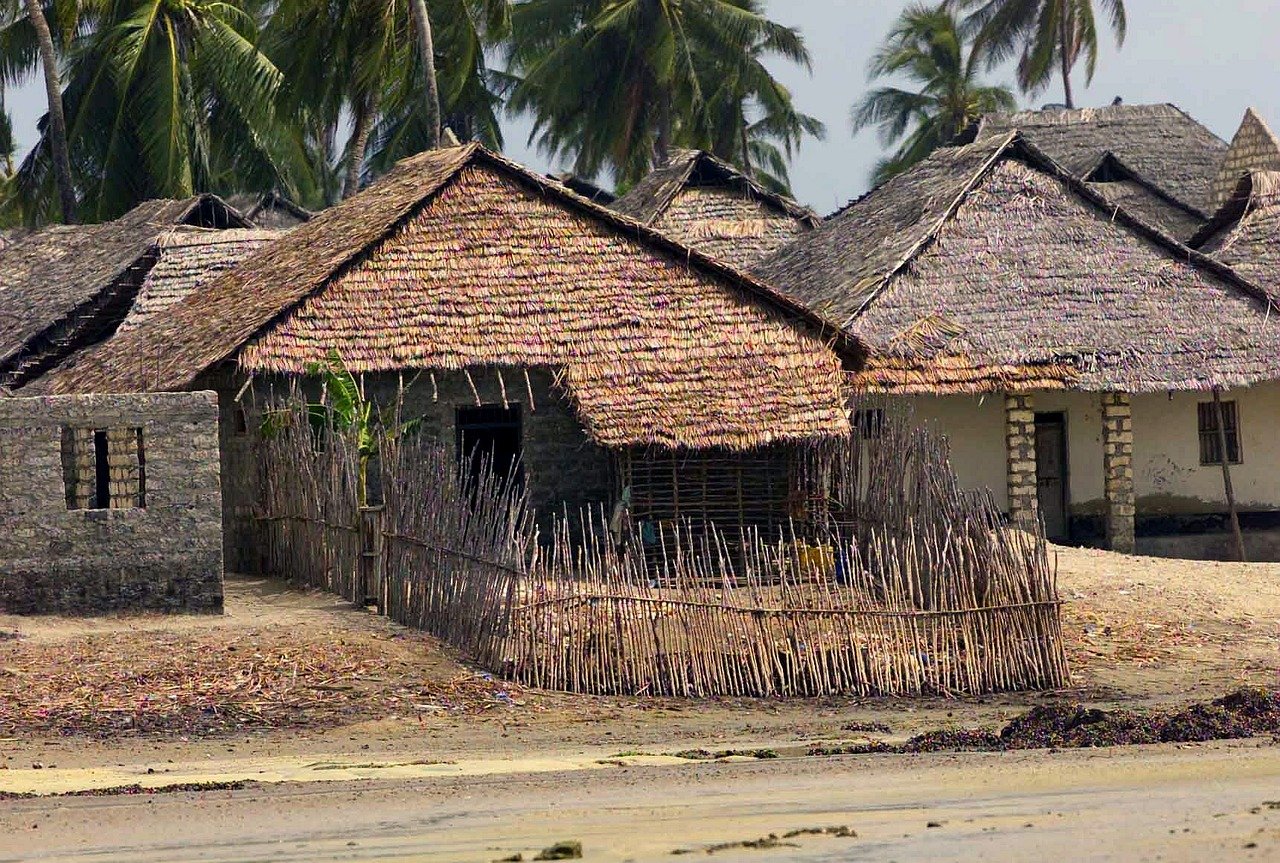 faza, kenya, huts, village, palms, palm trees, nature, outside, country, countryside, street, plants, road, brown village, ke