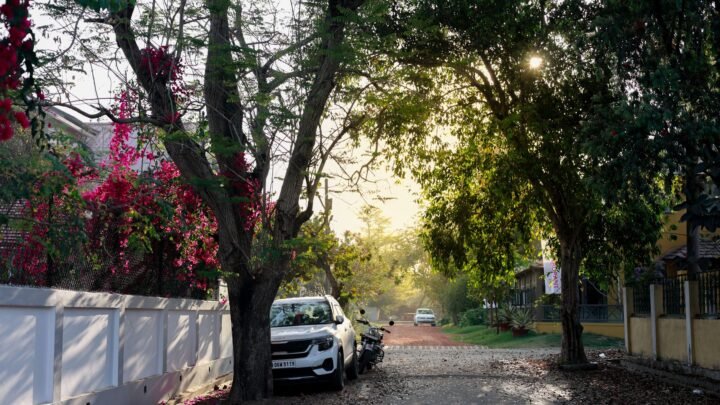 A Guide to Navigating Escorts in Lavington: Planning a Smoother Experience