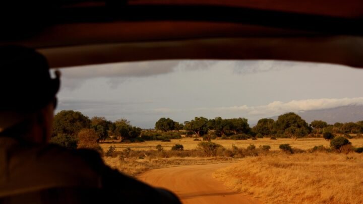 Navigating Adult Companionship: How to Approach Escorts Responsibly in Tudor