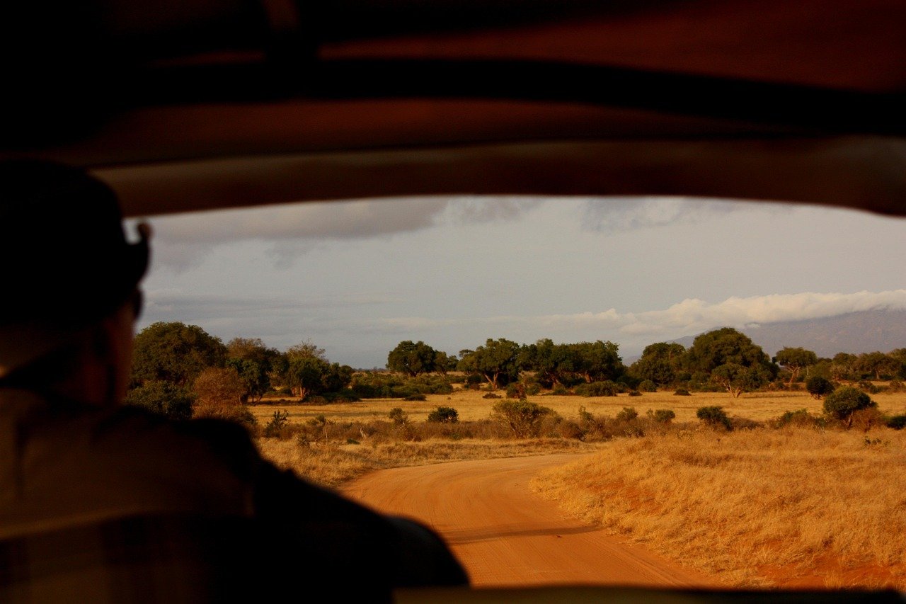 man, safari, window, landscape, trip, nature, kenya, mombasa, truck, animal, watching, sunset, face, hat, sun
