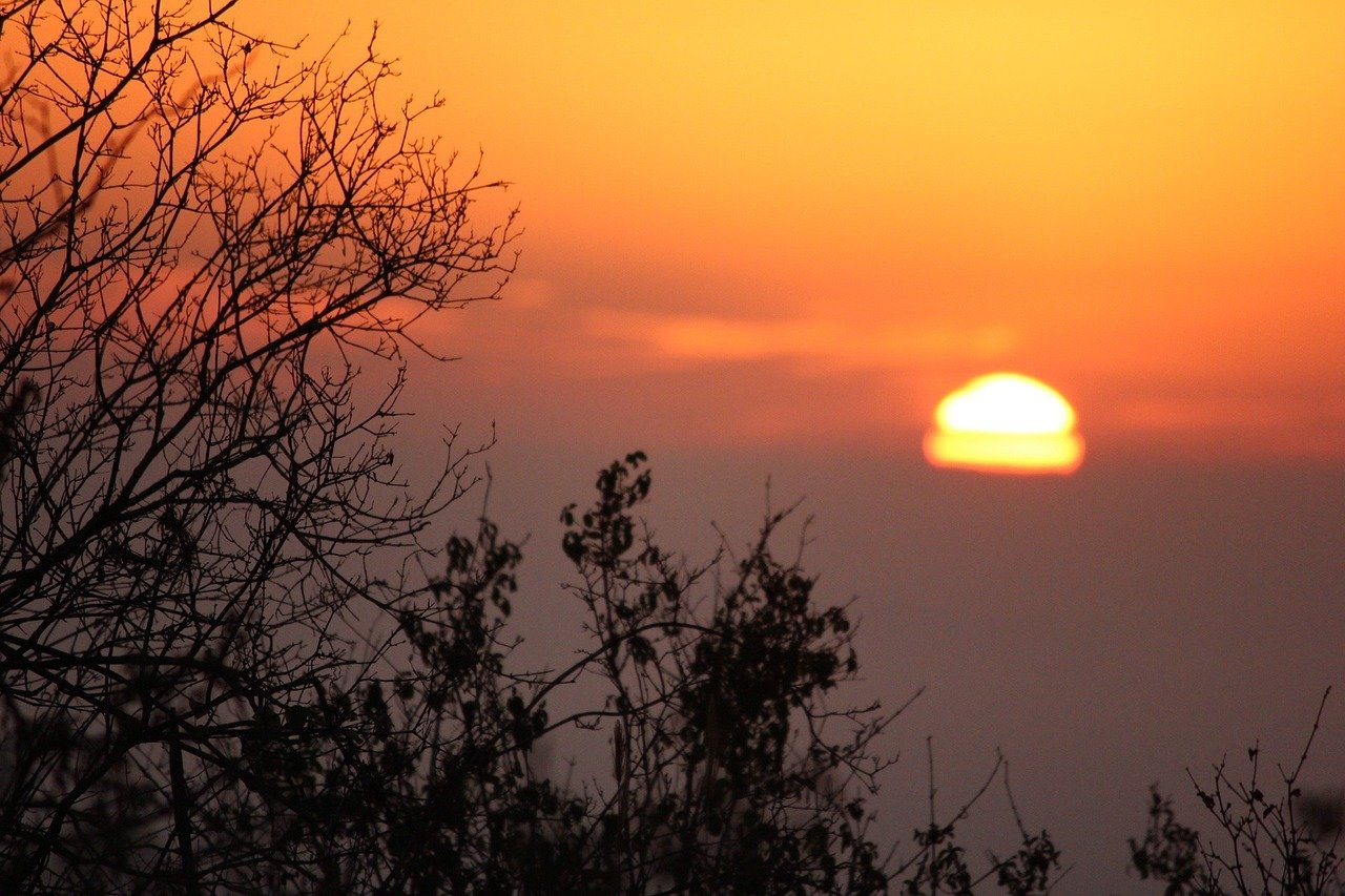 sunrise, nature, kenya, tsavo, landscape, morning