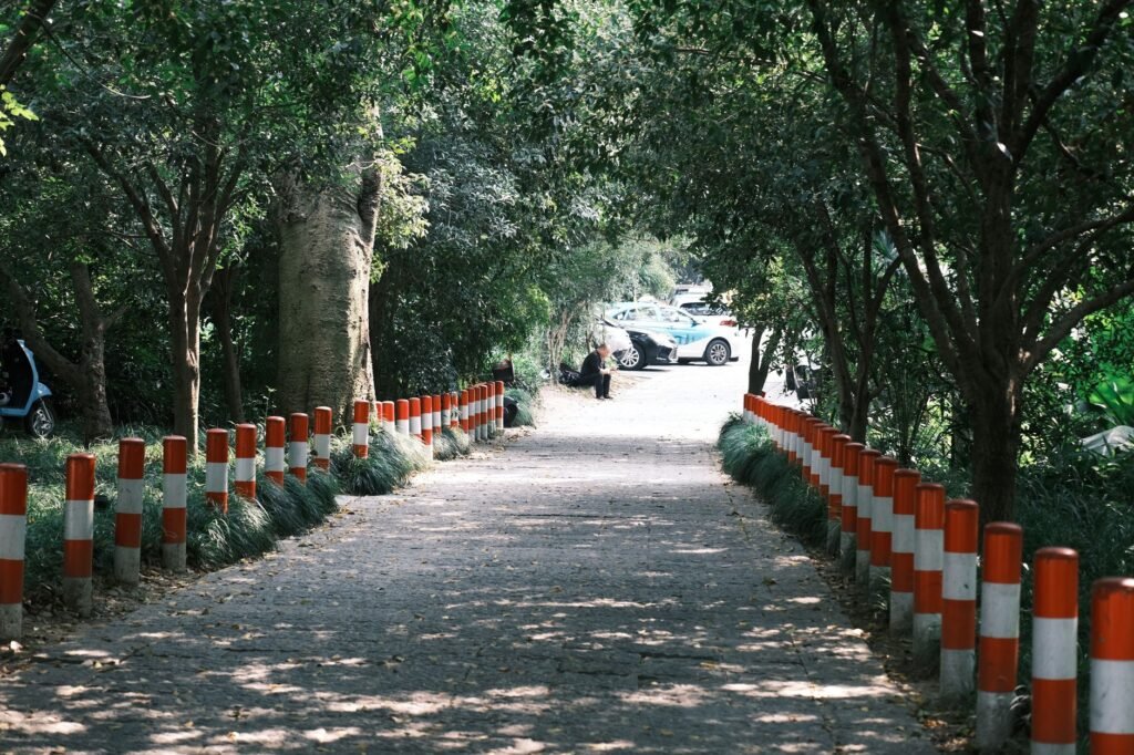 Tree-lined park walkway with bollards, cars in the background, and scattered leaves.
