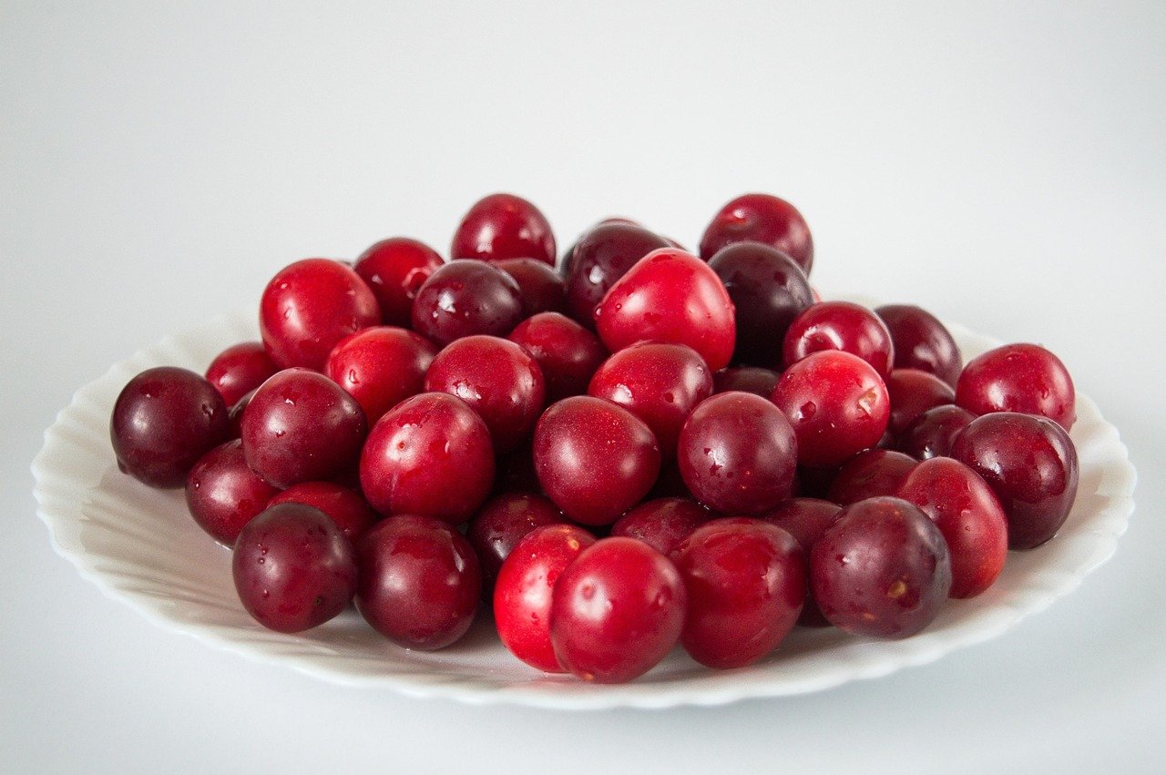 plum, fruits, sweet, food, ripe, vitamins, fresh, tasty, delicious, healthy, nutrition, organic, eat, juicy, agriculture, orc