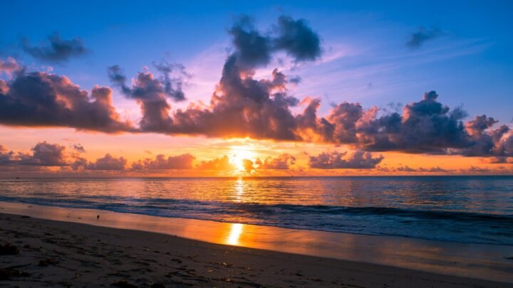 Crafting the Ultimate Personal Encounter: Current Trends Shaping Experience in Nyali and the Coast