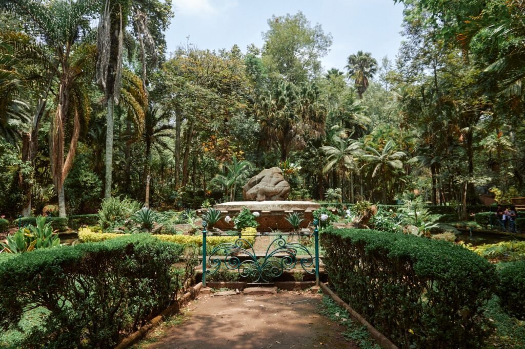 Serene tropical garden scene in Xalapa, Mexico, featuring a stone fountain amidst lush greenery and palm trees.