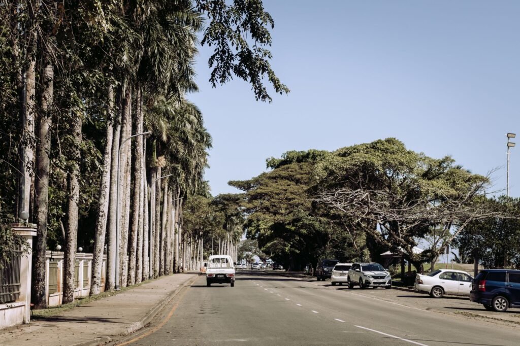 A serene street in Suva, Fiji, lined with palm trees and cars under a clear blue sky.