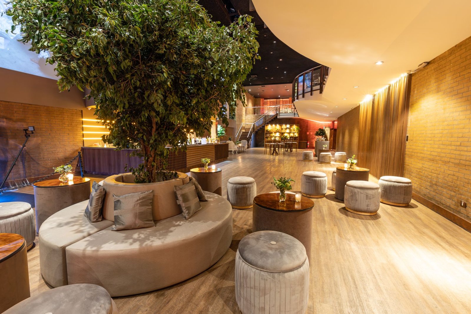 Spacious indoor lounge featuring modern decor, comfortable seating, and a large central potted tree.