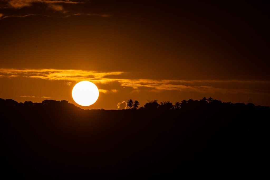 A stunning sunset with clear view of the sun and silhouetted trees, creating a picturesque landscape.