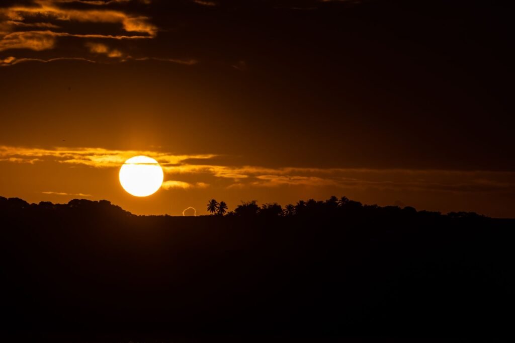 A vibrant golden sunset casting a silhouette over a serene landscape with palm trees.