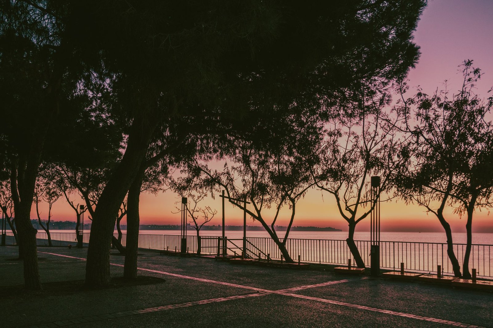Peaceful view of trees lining a waterfront promenade during a vivid sunset over the shore.