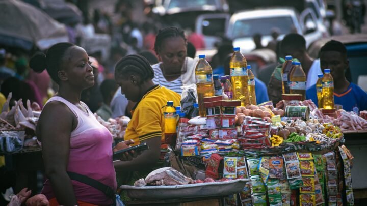 Making Sense of Experience in Eastleigh