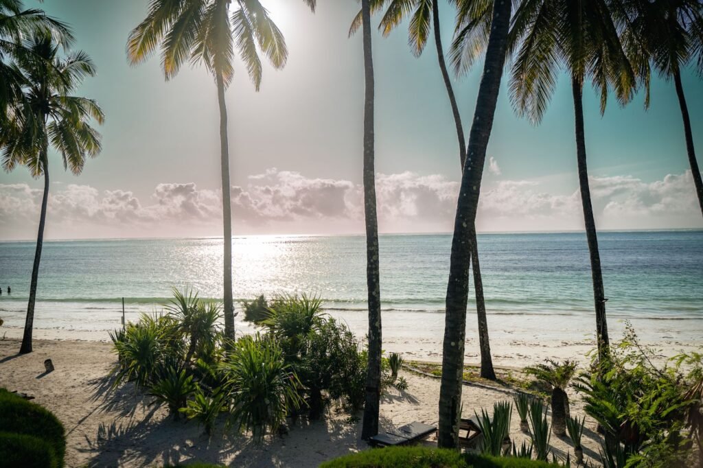 Idyllic tropical beach scene with tall palm trees and gentle waves at sunrise, perfect for relaxation.