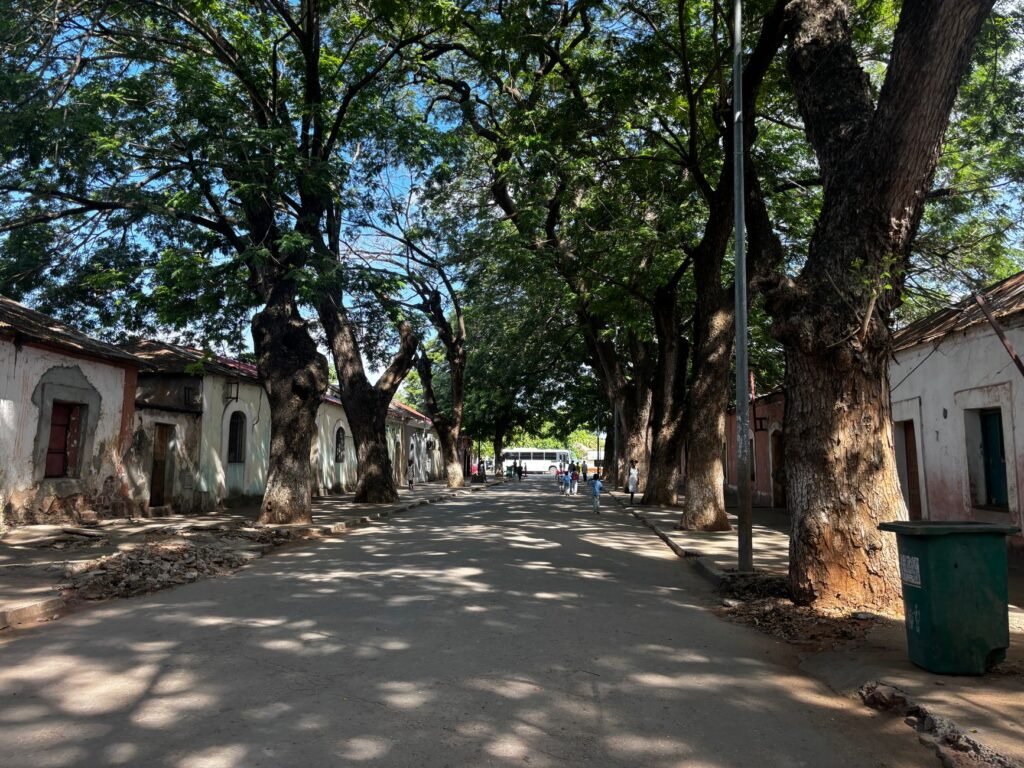Charming tree-lined street with traditional buildings in a historic Angolan village under a bright blue sky.