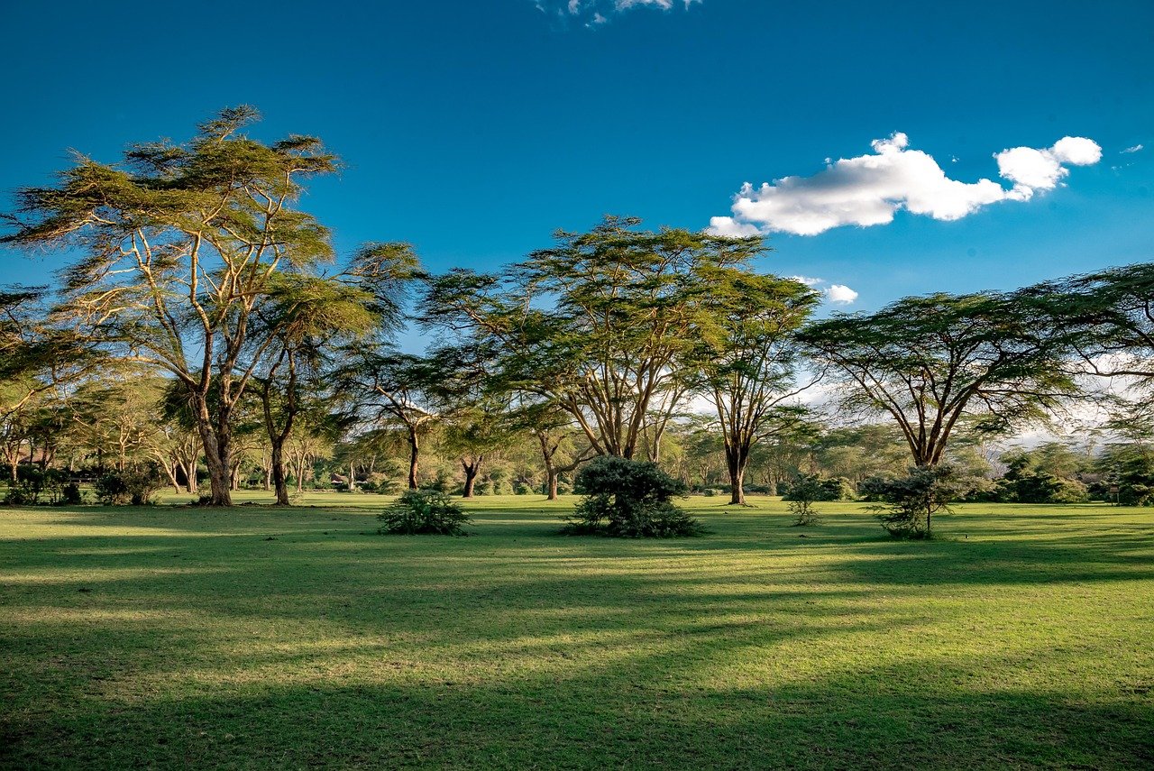lake naivasha, kenya, africa, lake, nature, hippo, wildlife, landscape, heaven, tree, clouds, grass, green, lake naivasha, la