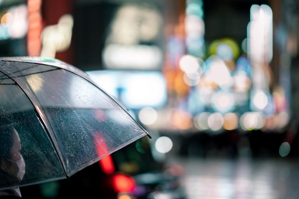 umbrella, street, nature, night, tokyo, shibuya, crossing, japan, intersection, city, asia, outdoors, people, scene, rain, we