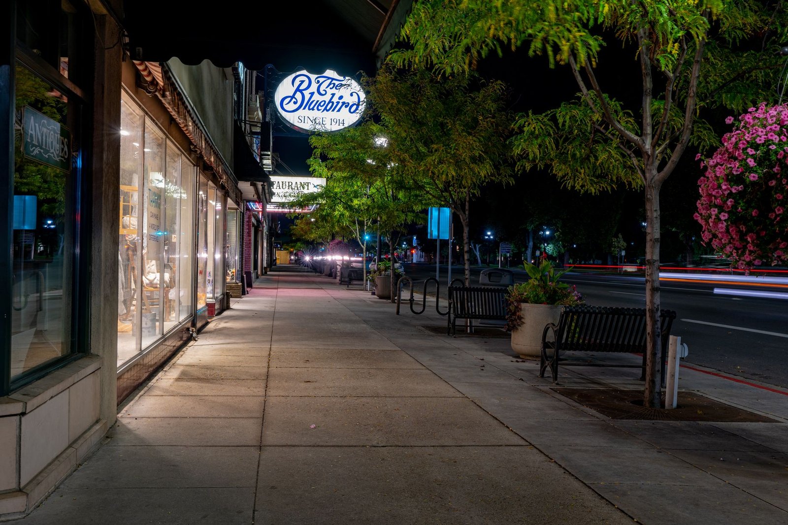 Charming nighttime streetscape in Logan, Utah featuring shops and vibrant street life.