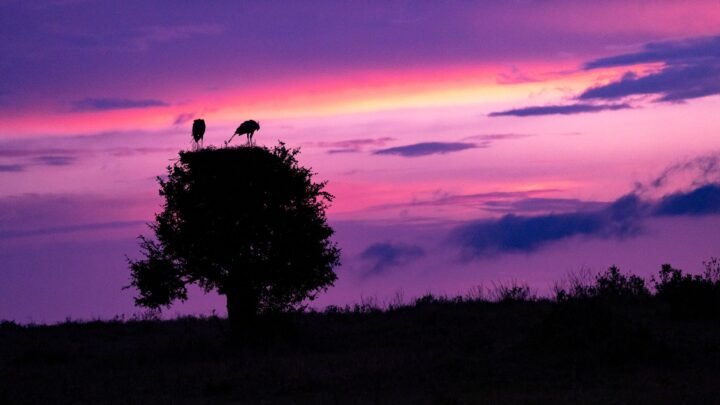 Navigating One Night Stands in Njoro: A Practical Guide to Better Choices