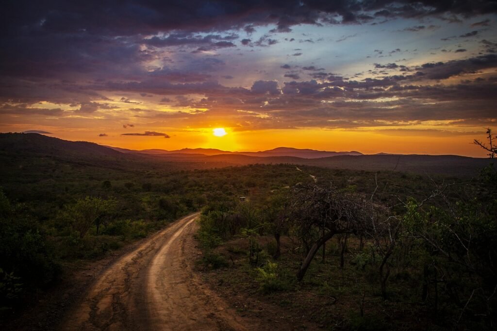 dirt road, mountains, sunset, trees, forest, jungle, woods, woodlands, curved road, clouds, dawn, dusk, landscape, nature, pa