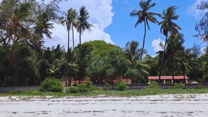 A Practical Guide to Experience in Kizingo: Finding Real Connections and Local Moments