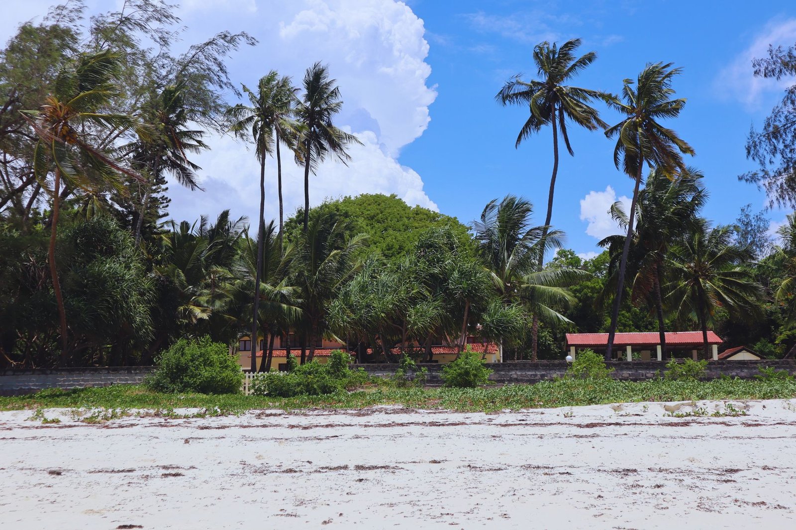 Serene tropical beach with palm trees and lush greenery in Mombasa, Kenya.