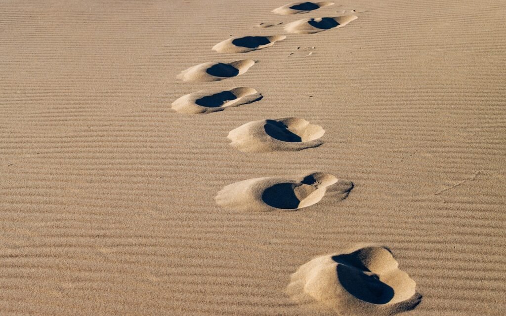 sand, dunes, landscape, nature, beach, coast