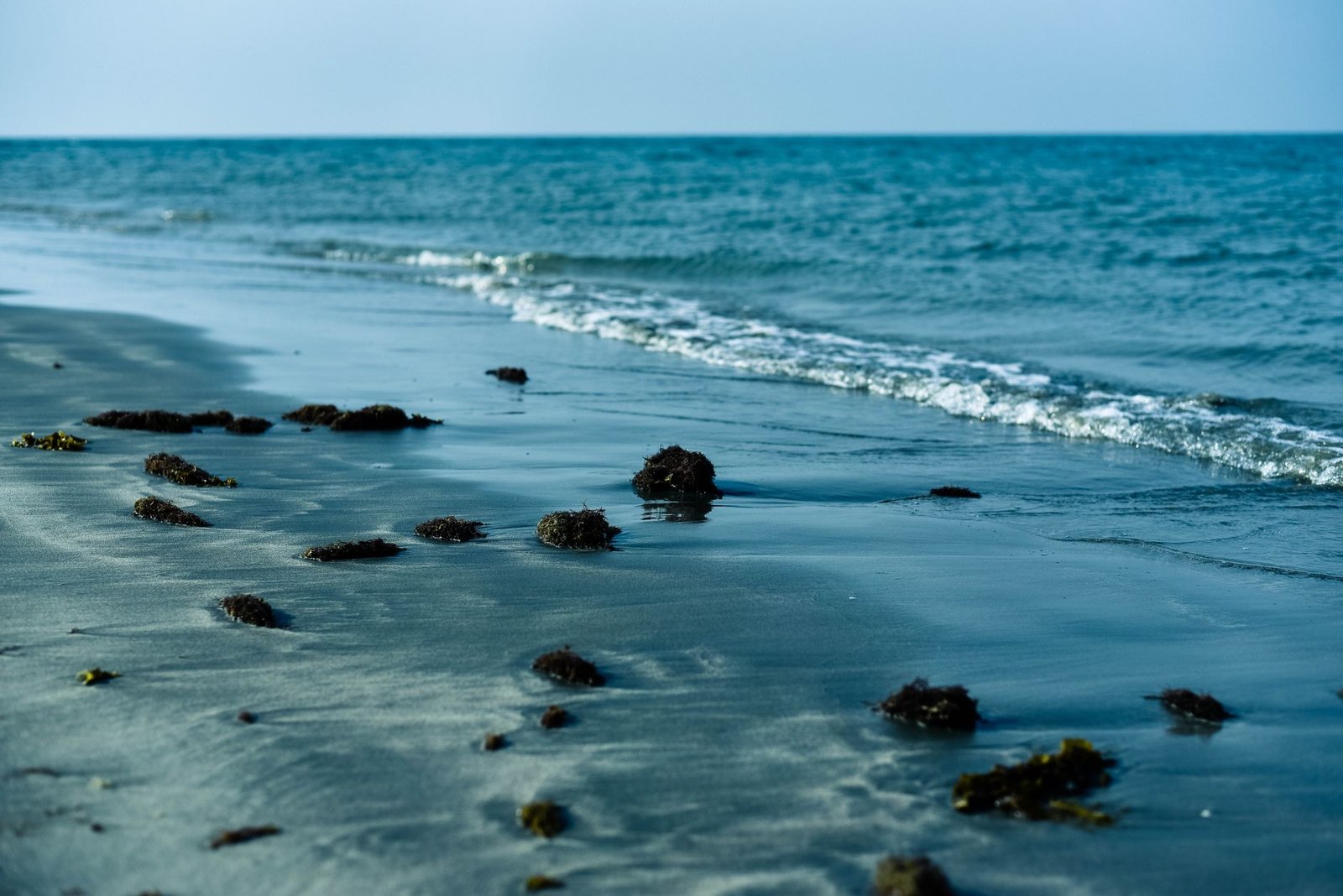 Serene beach scene with gentle waves and scattered seaweed, offering a tranquil coastal view.