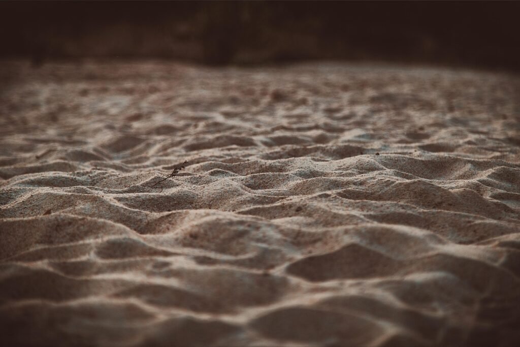 sand, the river's fish and, nature, landscape, beach