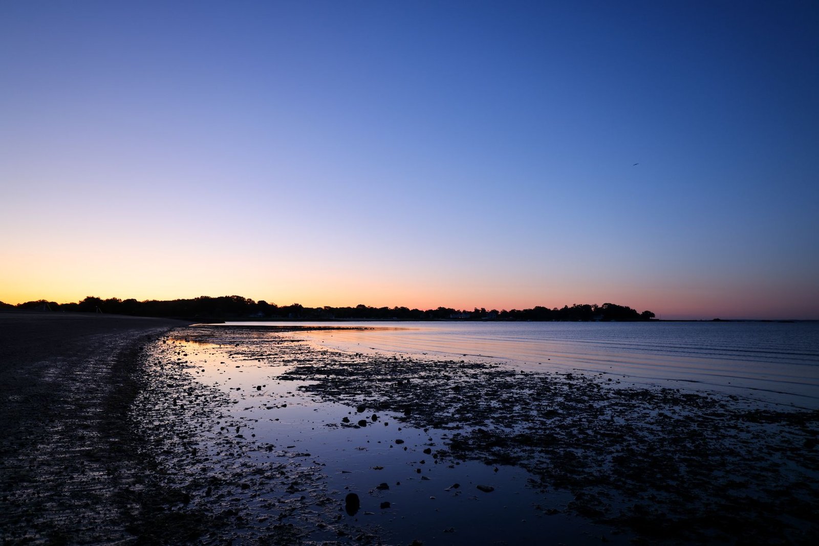 Peaceful coastal view with silhouette of trees at sunset, perfect for relaxation themes.